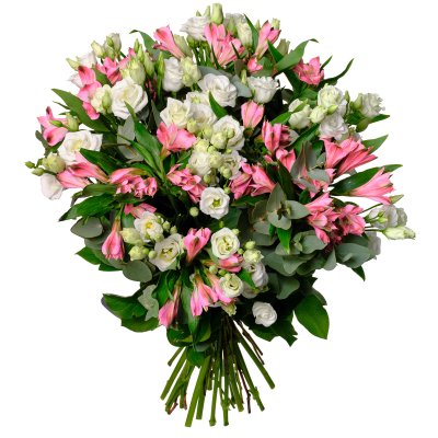 Eustoma a alstromérie Eustoma a alstromérie